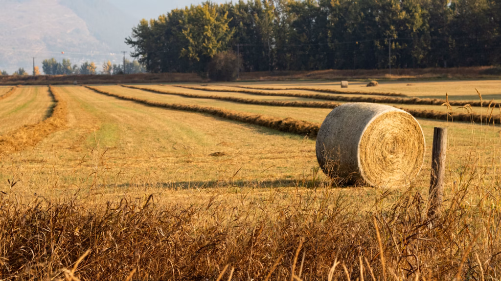 Creston Valley Alternate Water Supply Feasibility Study