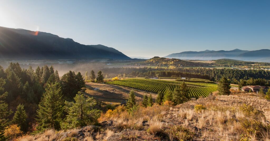 Erickson Water System Phase 1 Metering Project